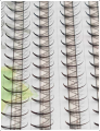 b4655905fac7881b783f9bf50ae85353.png