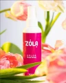 Stabilizator koloru do brwi Color Fix Zola tonik fiksujący 100ml