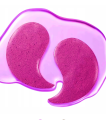 ced6985a309861d18e733dacd4d7ac65.png